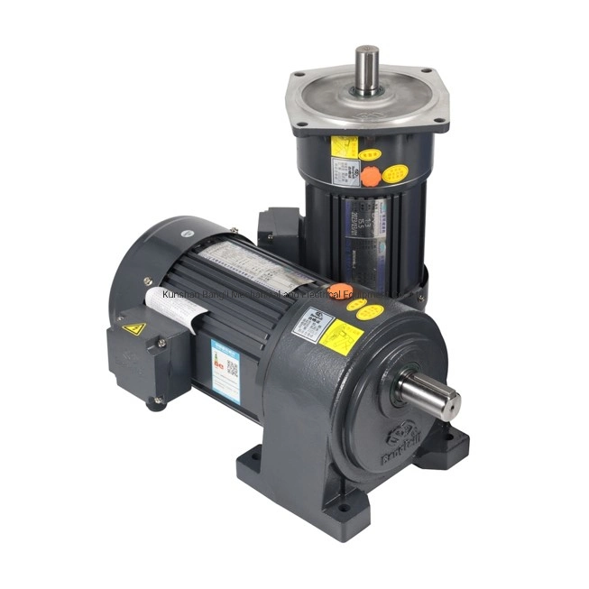 AC Gear Reduction Electric Motor
