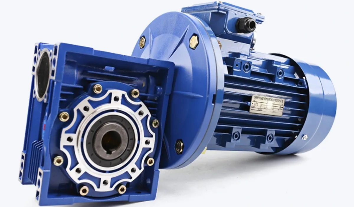RV Worm Speed Motor Reducer