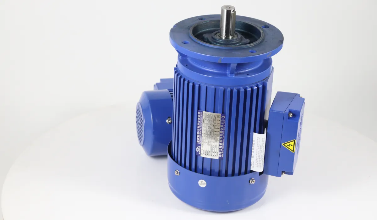 Gear Motors with Brake