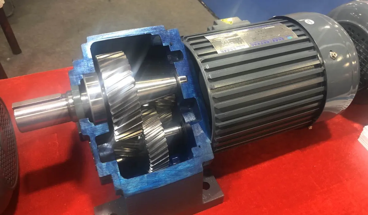 gear motor cross section